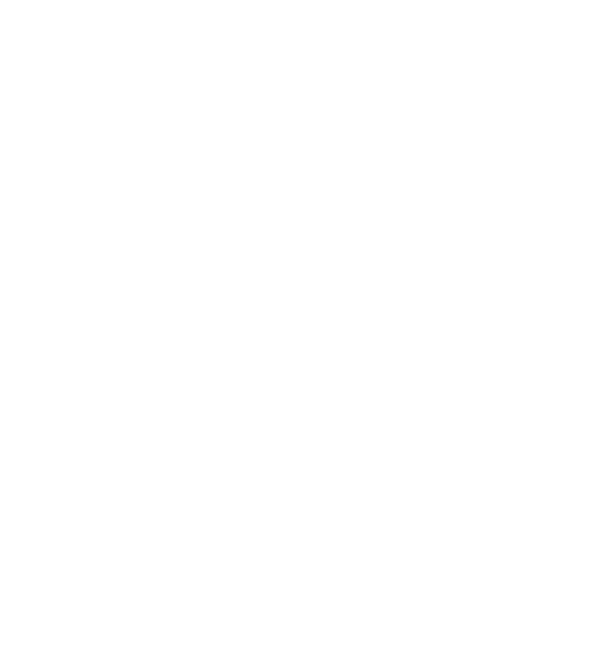 Arcane Veil